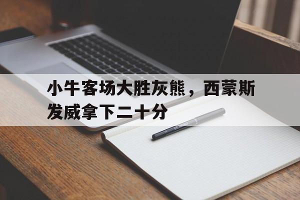 小牛客场大胜灰熊,西蒙斯发威拿下二十分的简单介绍